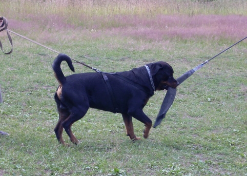 Training in Estonia 6/2007